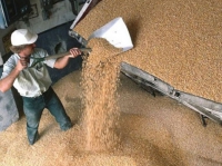 зерновое эмбарго